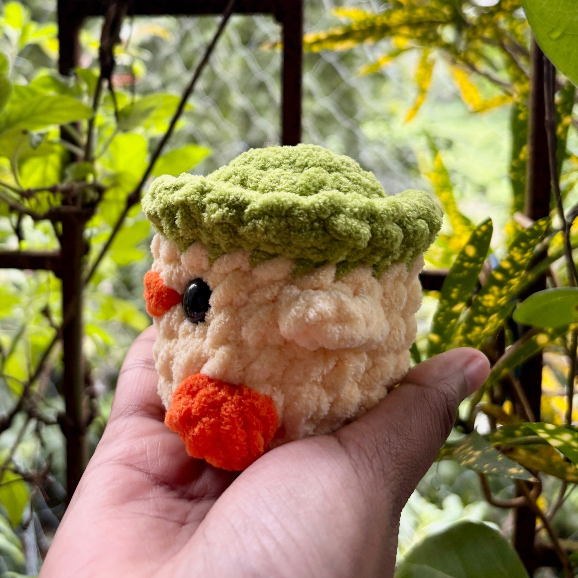 Hand holding a small plush toy with green top and orange beak against a natural background