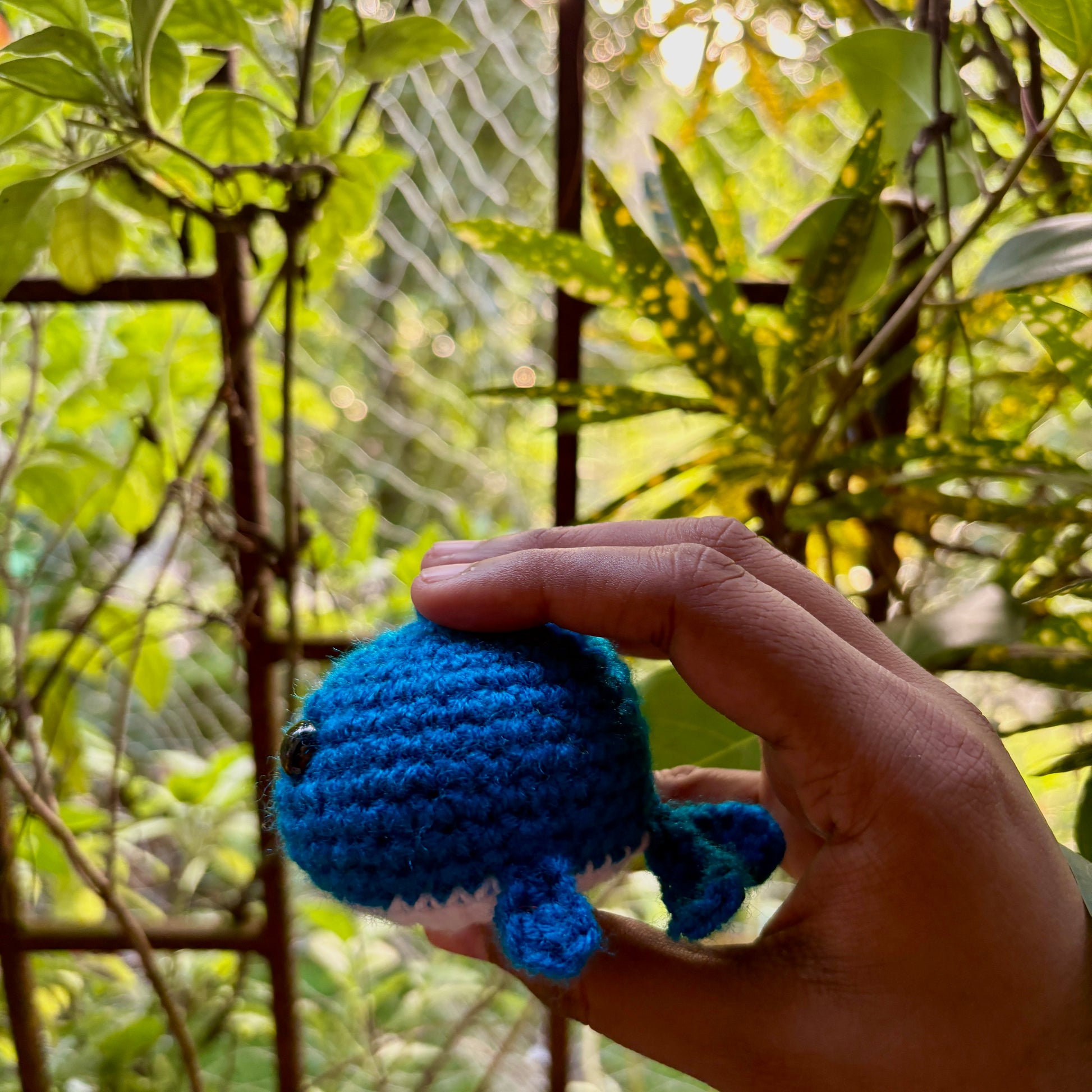 Hand holding a small crocheted whale against a green leafy background