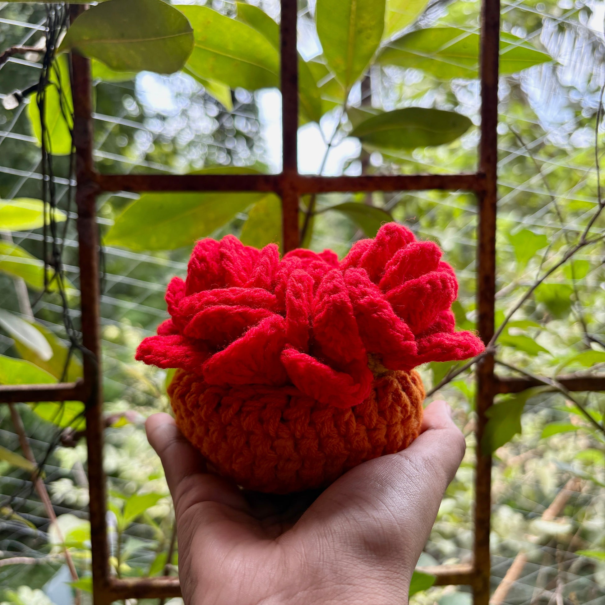 Hand holding a crochet red coaster set of 3 with orange pot against a blurred green outdoor background